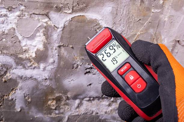Best Mold Remediation  in Quartz Hill, CA