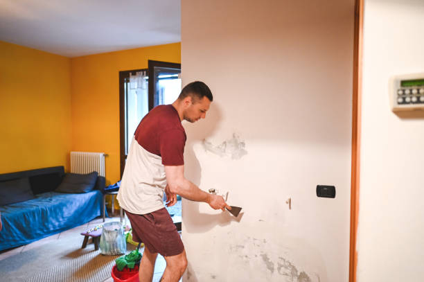Best Commercial Mold Removal  in Quartz Hill, CA