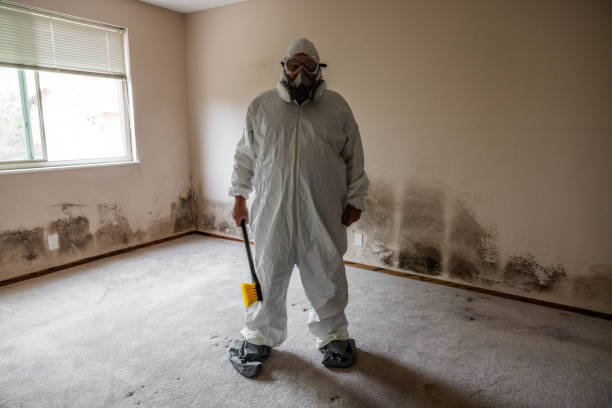 Best Residential Mold Removal  in Quartz Hill, CA